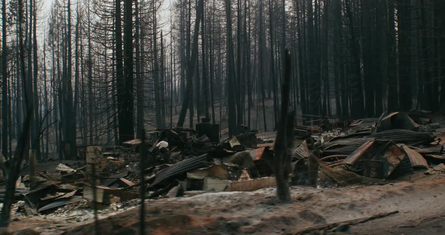 A burned out truck sits among the debris from a destroyed building in the woods