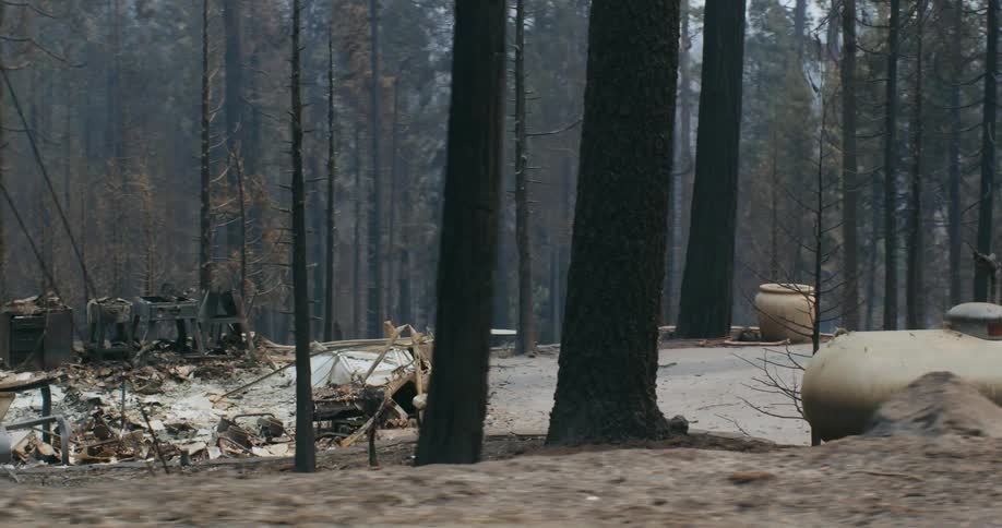 Worker wearing reflective safety clothes take pictures of the remains of a burnt house in the forest