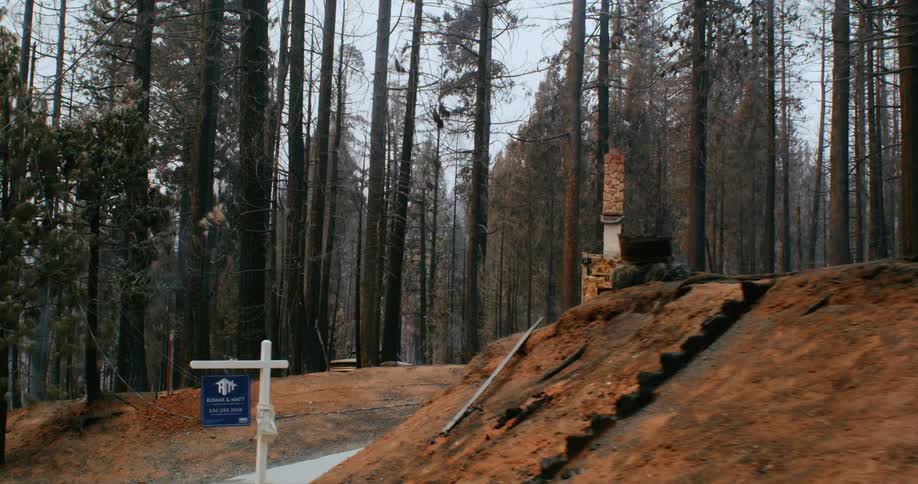 Burnt remains of a house after a forest fire at daytime