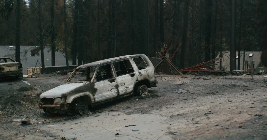 A car burnt out in a forest