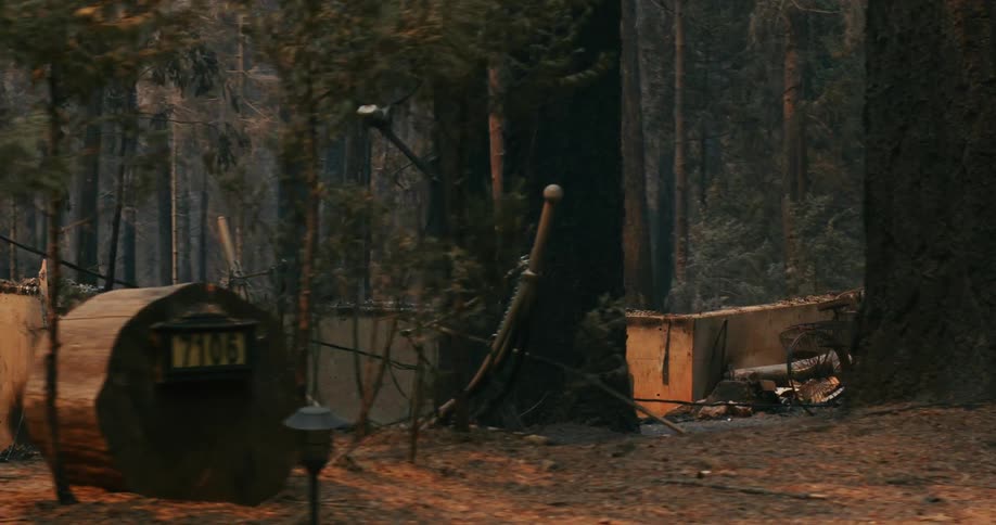 The foundation and debris from a destroyed house in the woods