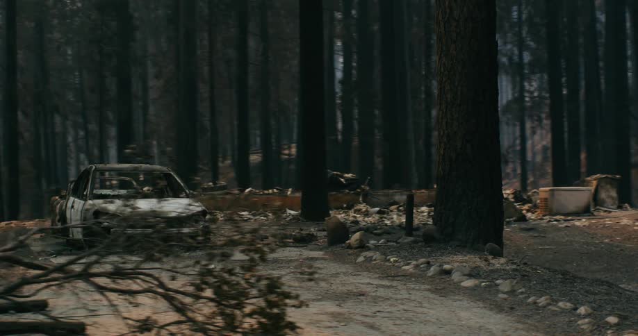 Burned out automobiles sit near the foundation and debris from a destroyed house in the woods