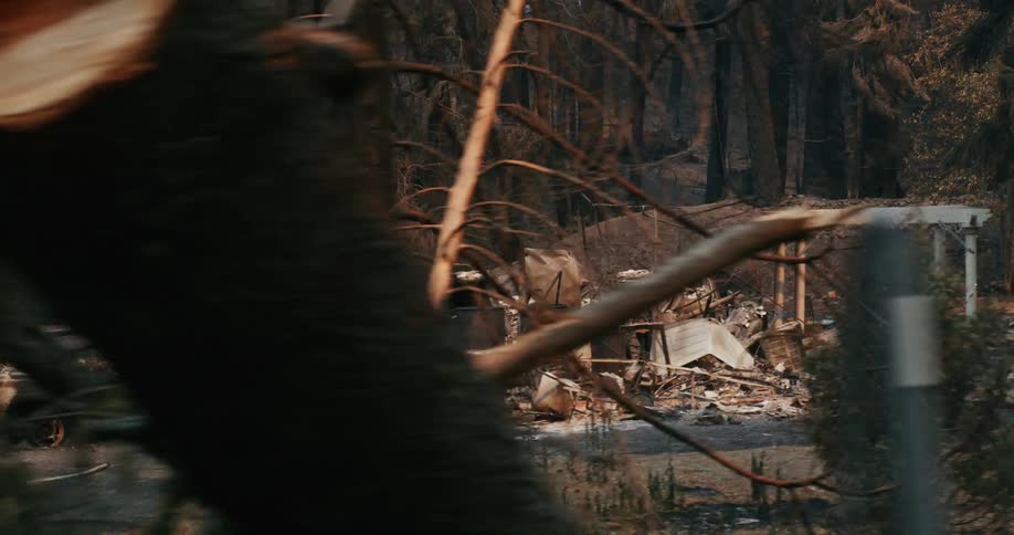 Burned down vehicles on the driveways of burnt houses after a forest fire
