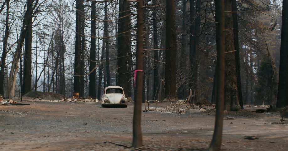 Abandoned white volkswagen beetle burnt on a clearing after a forest fire