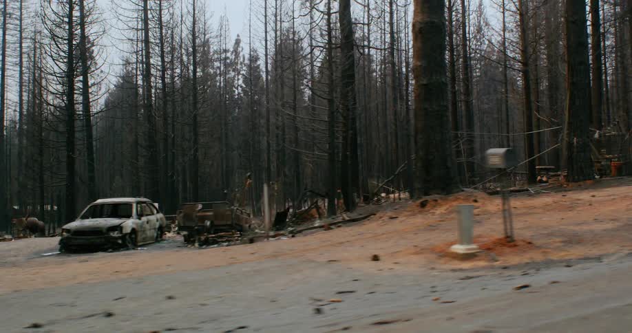 The burned hull of a car is in the driveway of a burned down home in the forest