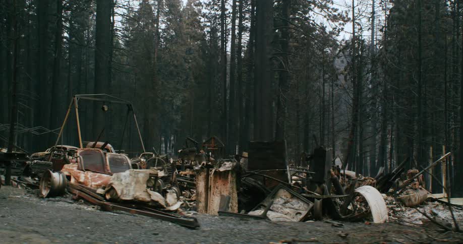 Vehicles that are outside in the forest area in the winter time