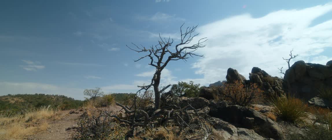 Wide open landscapes are displayed during the daytime