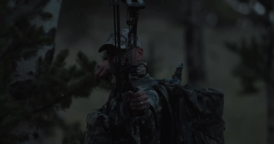 A person hunting with a bow