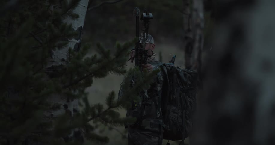 A man with a bow is hiding in the woods