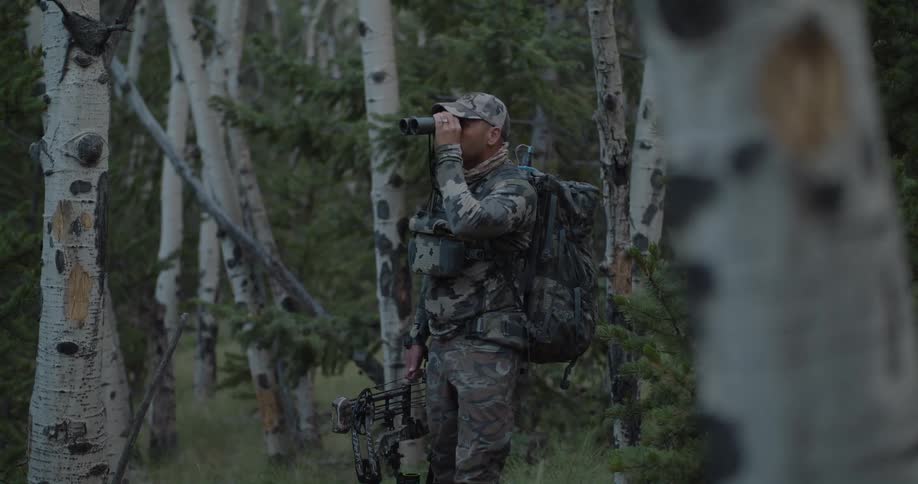 A man is looking with binoculars in a wooded area