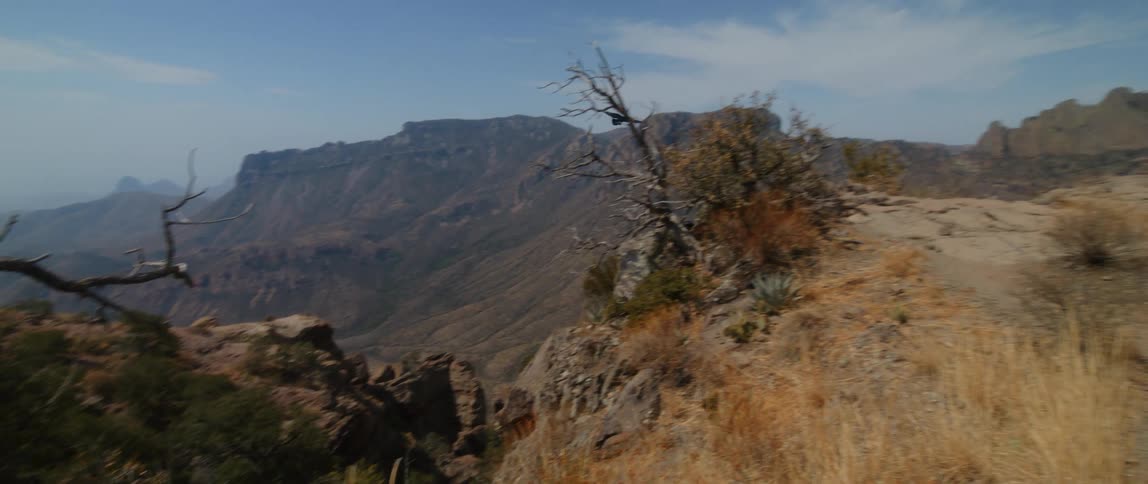 Birds are flying outdoors in a wilderness area