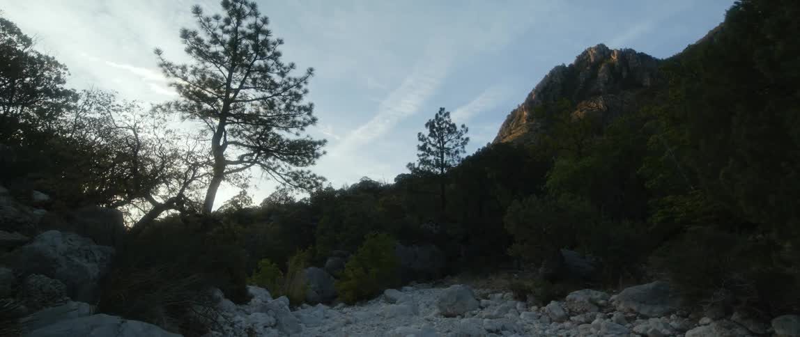 The sun is setting in the horizon in the wilderness