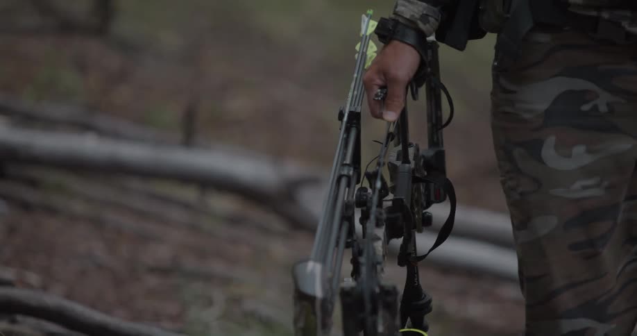 A man is carrying a compound bow through the woods