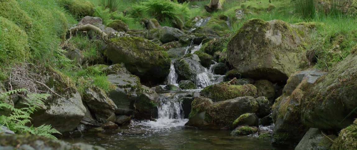 Insects fly over river flowing down small boulders