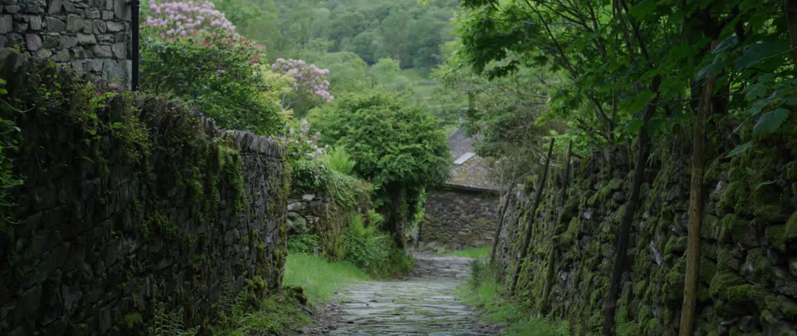 The path is lined with cobblestone homes