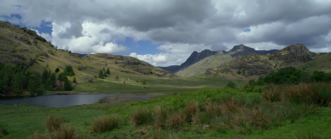 Creek sits in a field at the base of the mountains under a cloudy blue sky