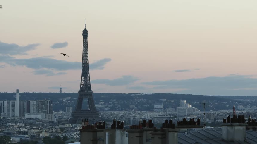 Birds fly through red tinted sky near the eiffel tower in paris