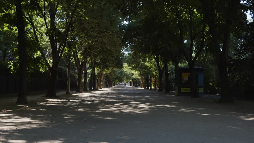 View of treelined broad boulevard