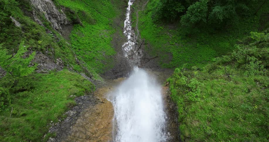 The view is of a water stream that is located in the forest area