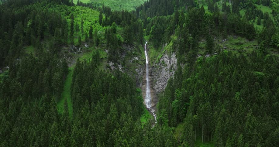 A waterfall rushes over a cliff in a forest
