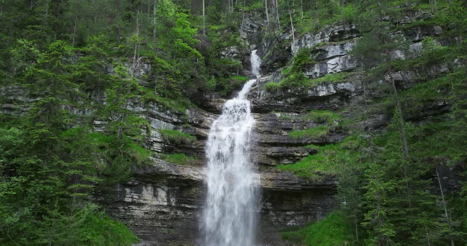 Waterfalls are flowing down the side of a mountain cliff in a forest and there are plants and moss clinging to the rocky cliff