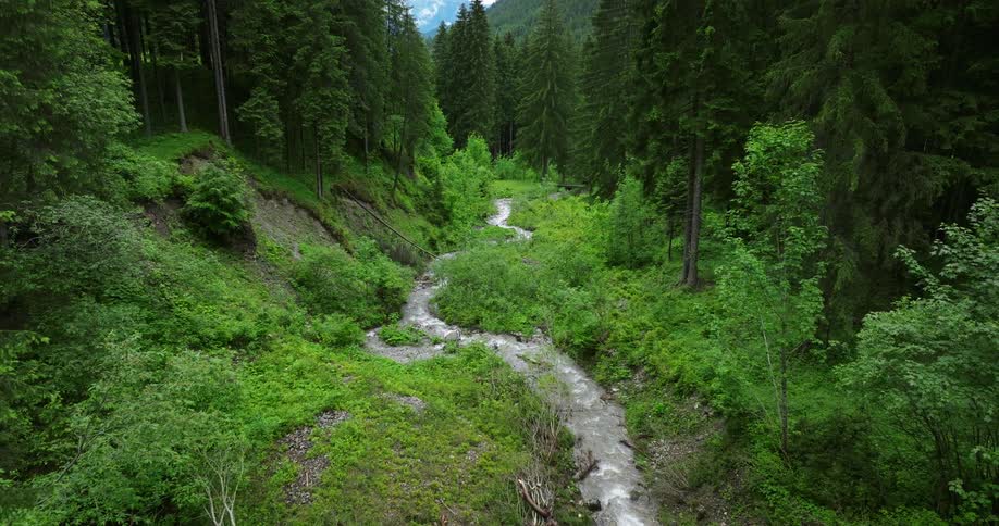 The view is of a river stream and trees are surrounding it