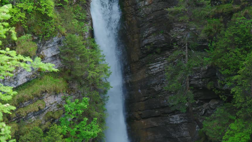 The view is of a water stream that is in the forest area