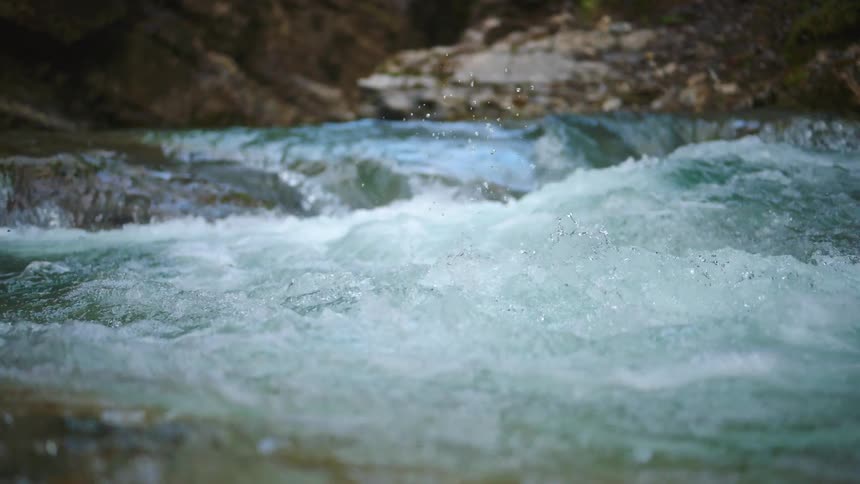 The view is of a water stream that is located in the wilderness
