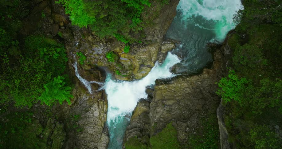 The view is of a water stream that is by the forest area