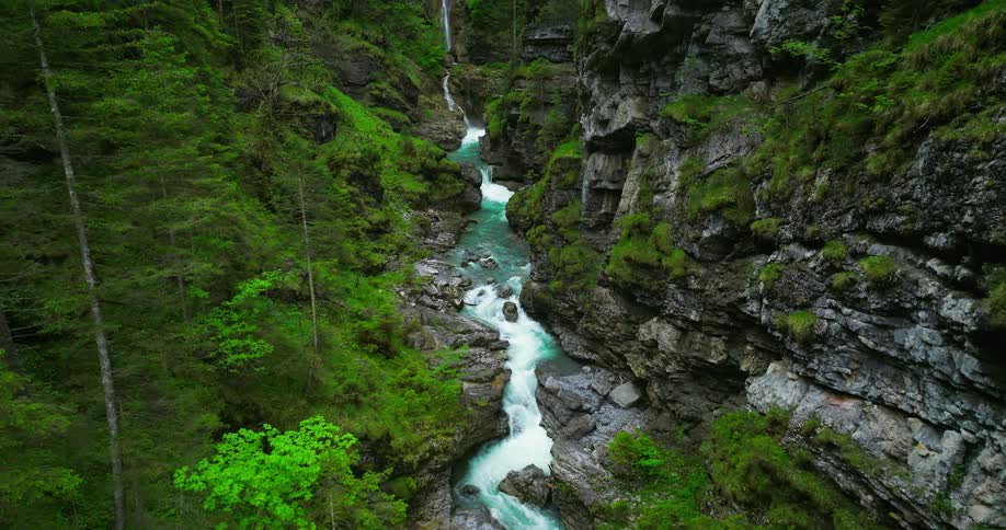 The view is of a water stream in the forest area surrounded by some trees