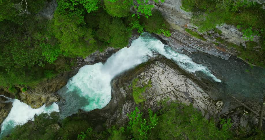 The view is of a water stream that is located the forest area