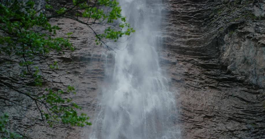 A view of a water stream around the forest area