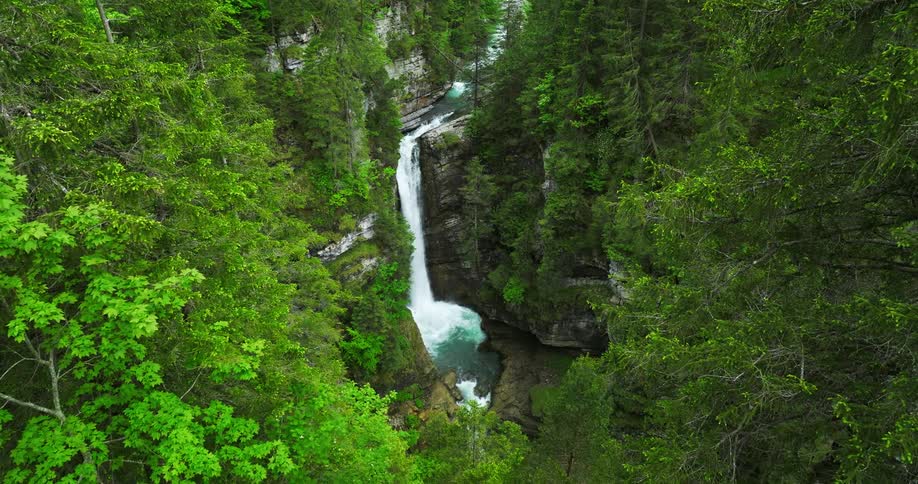 The view is of a water stream that is located in the forest area