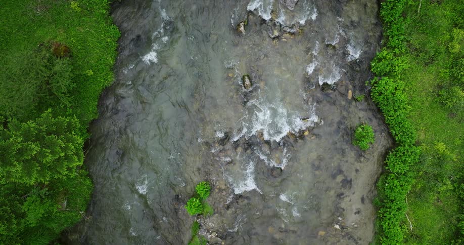 The view is of a water stream located by the forest area