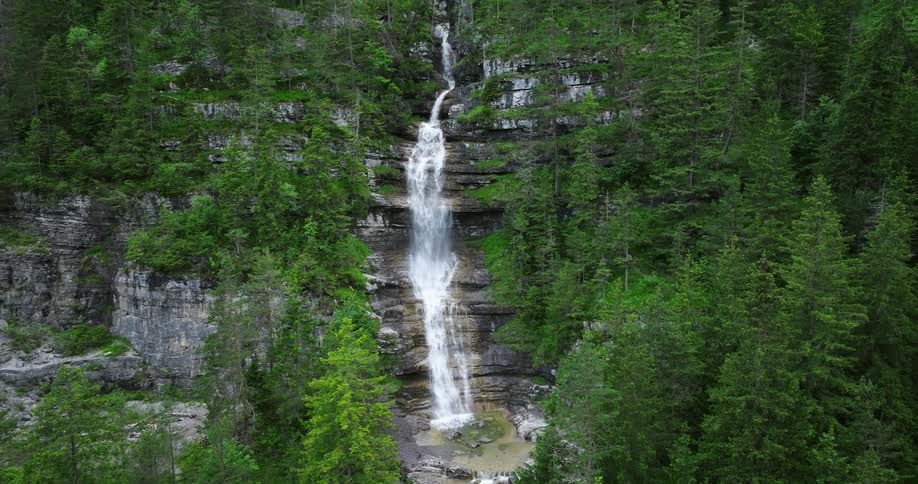 The view is of a water stream that is located around the forest area