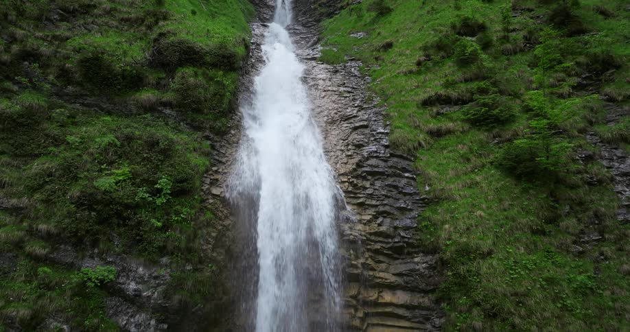 There is a water stream that is located in the forest area
