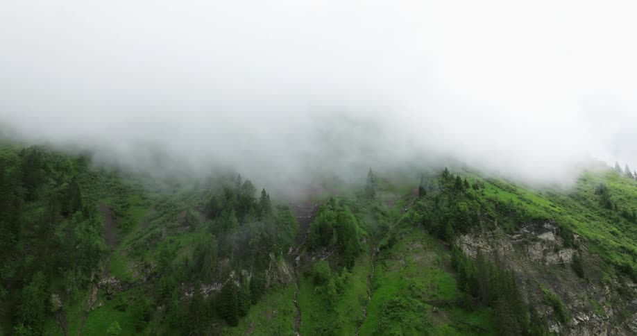 Fog covers the top of the tree covered mountain