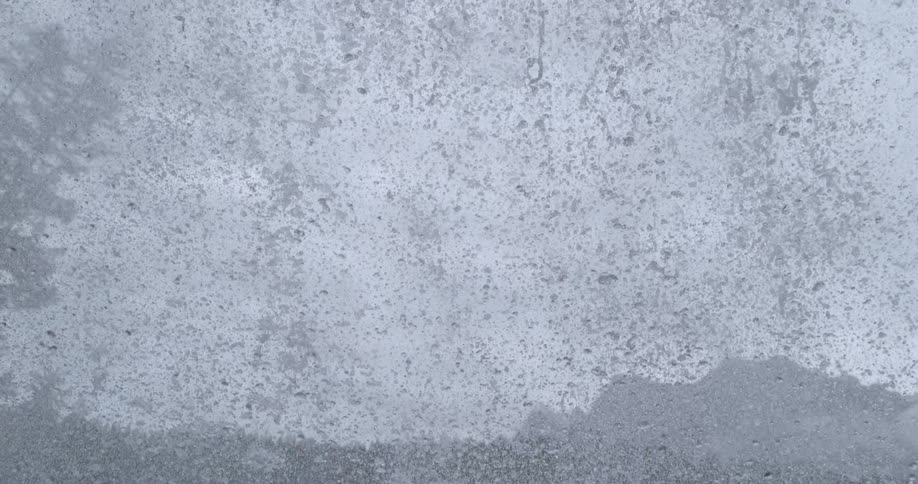 There is water splashing up around the forest area in the day time