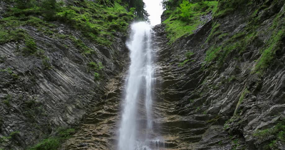 There is a water stream that is located in the forest area