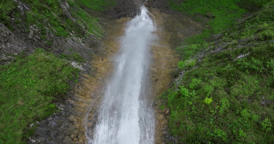 The view is of a water stream that is located in the forest area