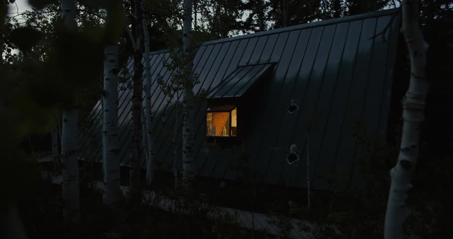 The view is of a cabin that is located in the wilderness