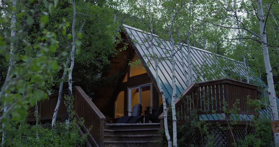 The lights go off in a house in the woods surrounded by tall trees