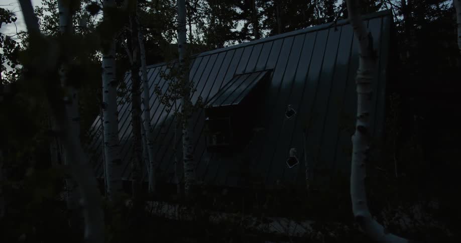 A cabin is displayed in a wooded area