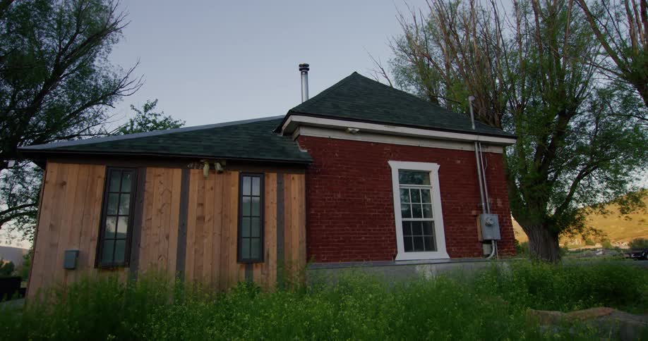 The grass is tall in the yard