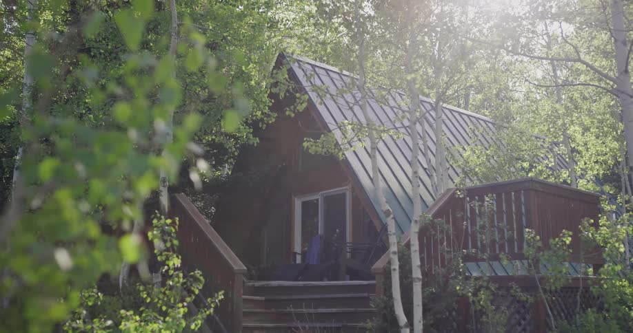 Trees are surrounding a cabin in the forest