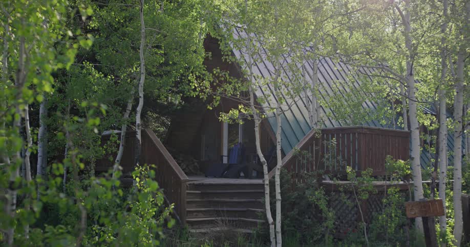 Small cabin in the woods surrounded by trees in the forest at daytime