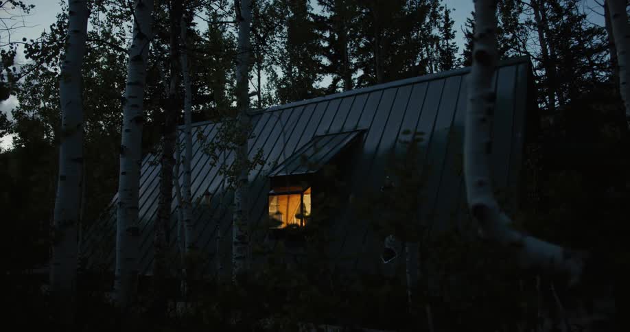 The lights go on in a house in the woods surrounded by tall trees