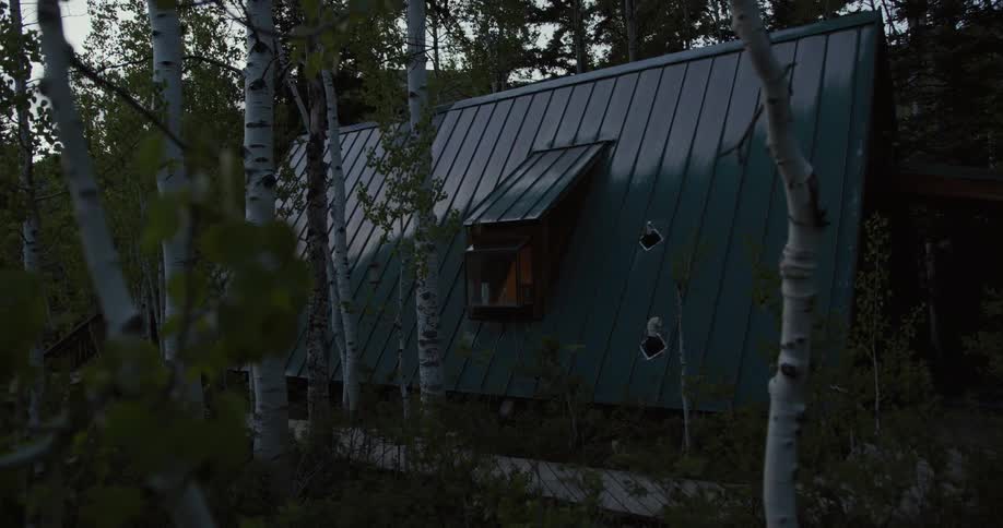 A single house sits in the woods