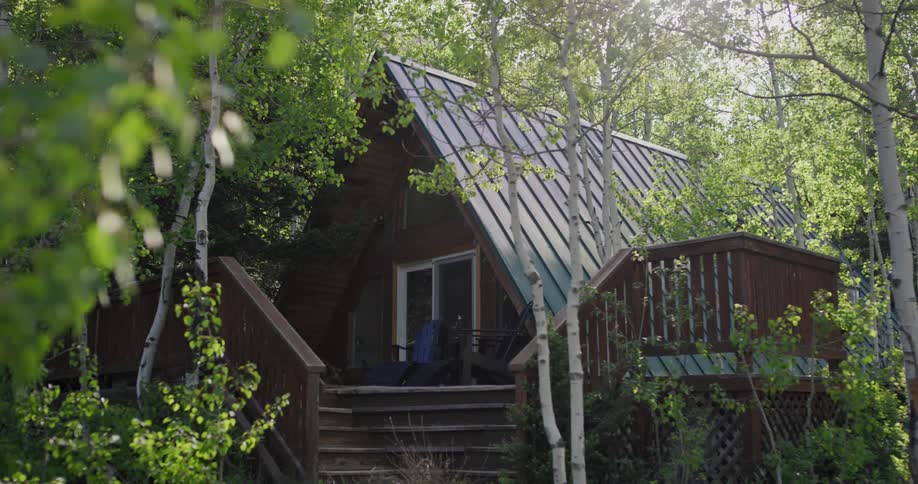 Small cabin in the woods surrounded by trees in the forest at daytime