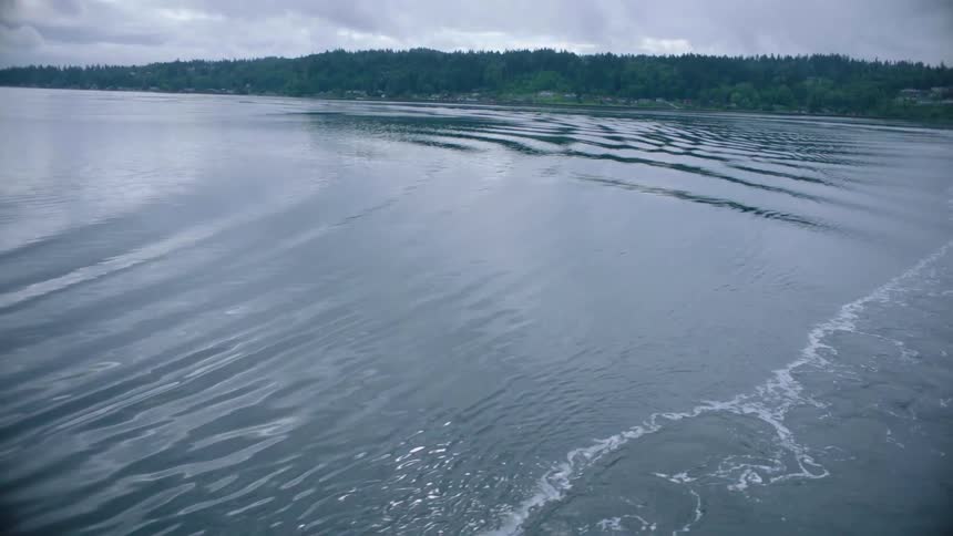 The view is of a lake that is surrounded by trees and in the forest area